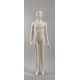 41FE – taipuisa unisex-museonukke